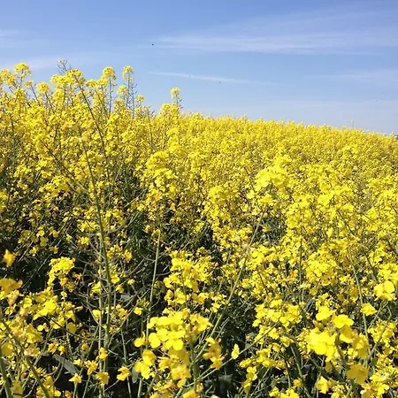 Appartmentanlage Zur Düne Insel Poel