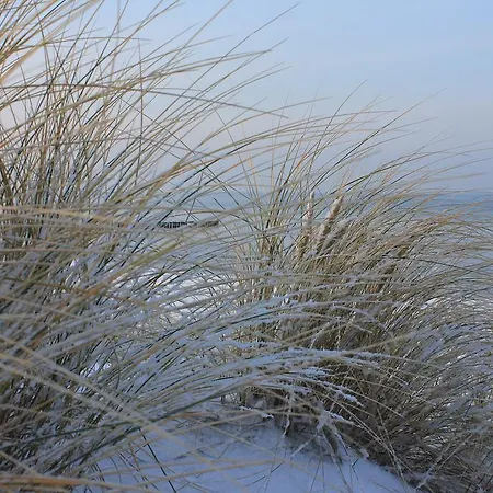 Appartmentanlage Zur Düne Apartment *